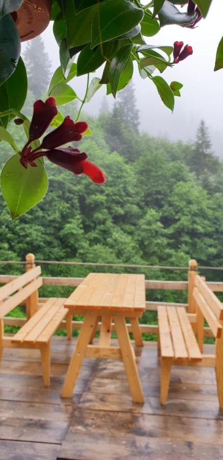 Serinyer Dag Evi Ayder Yaylasi Εξωτερικό φωτογραφία