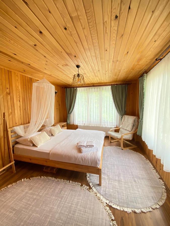 Serinyer Dag Evi Ayder Yaylasi Εξωτερικό φωτογραφία