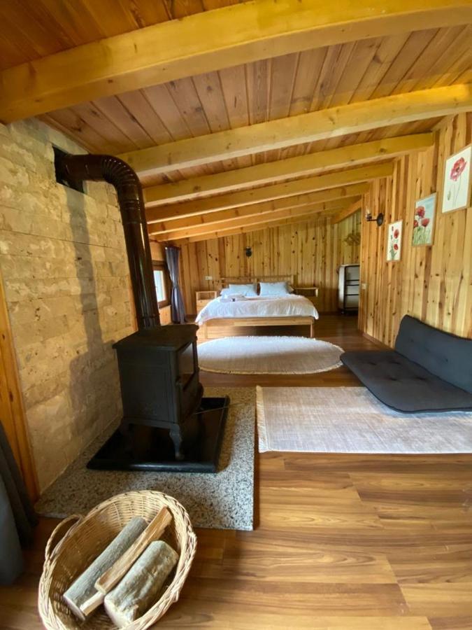 Serinyer Dag Evi Ayder Yaylasi Εξωτερικό φωτογραφία