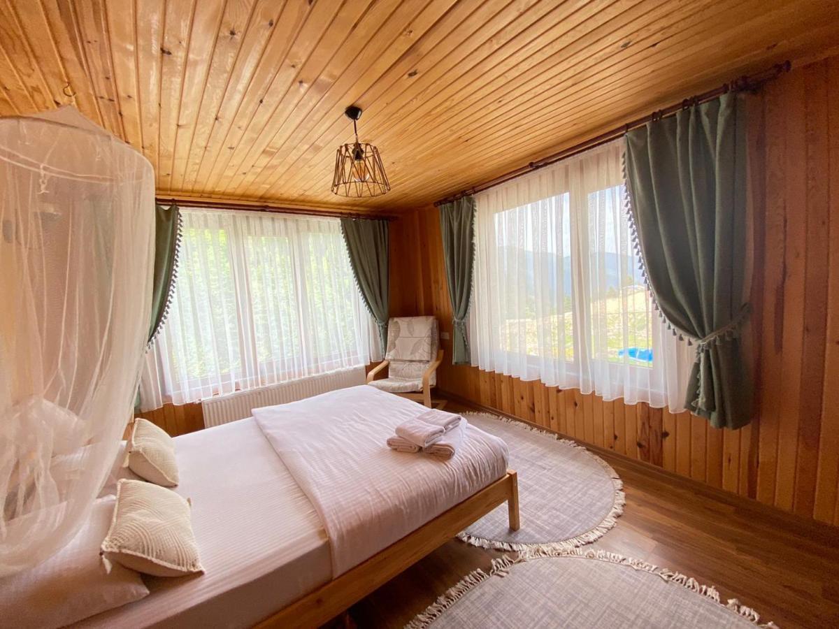 Serinyer Dag Evi Ayder Yaylasi Εξωτερικό φωτογραφία