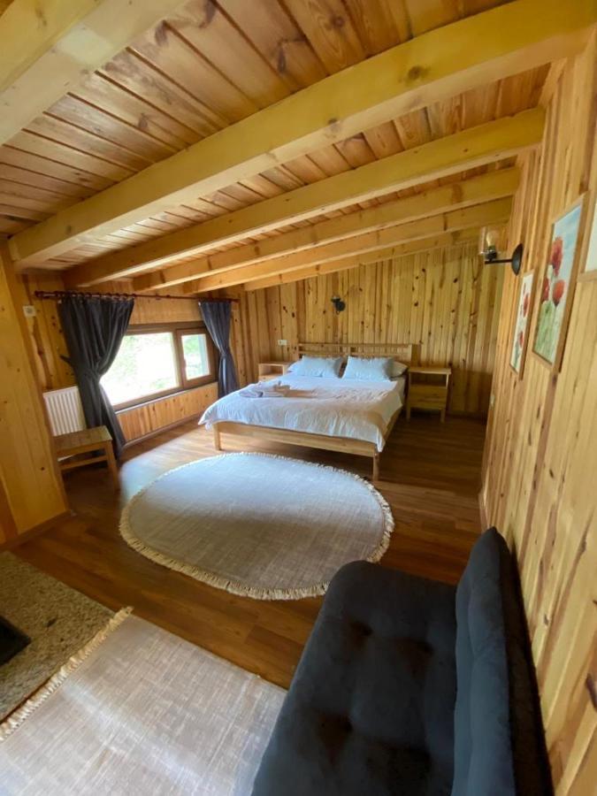 Serinyer Dag Evi Ayder Yaylasi Εξωτερικό φωτογραφία